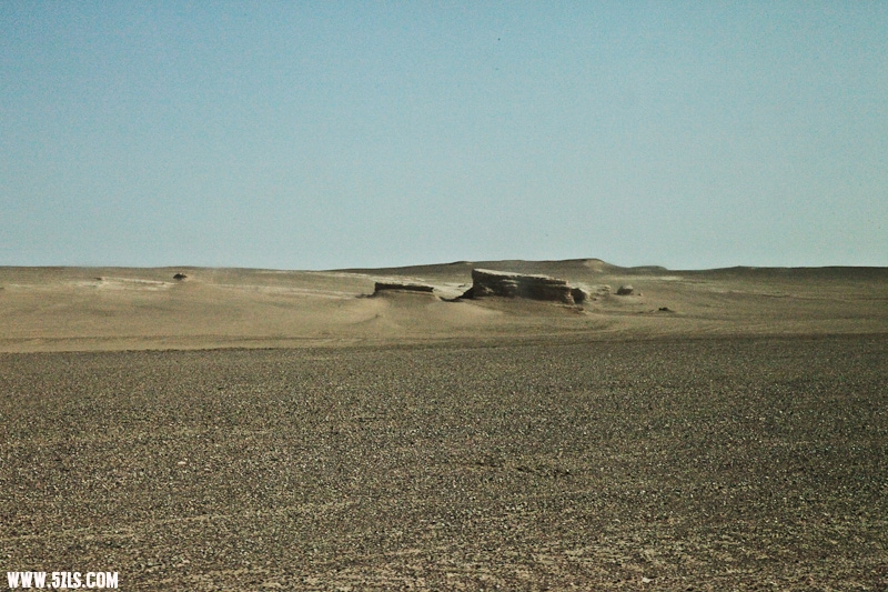 IMG_7766.jpg