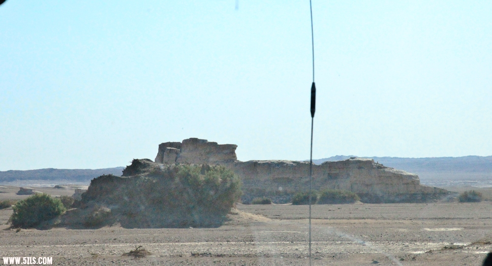 IMG_7778-2.jpg