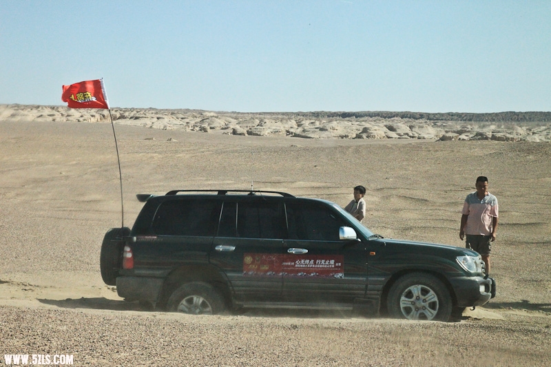 IMG_7800-3.jpg
