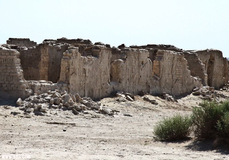 IMG_7841-3.jpg