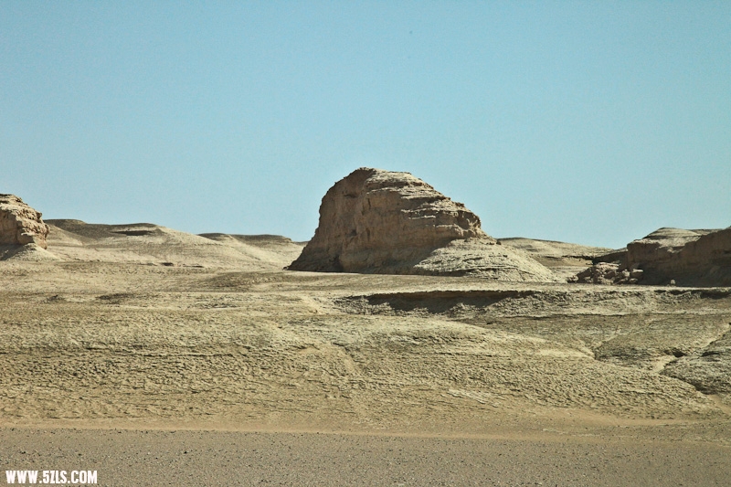 IMG_7877-3.jpg