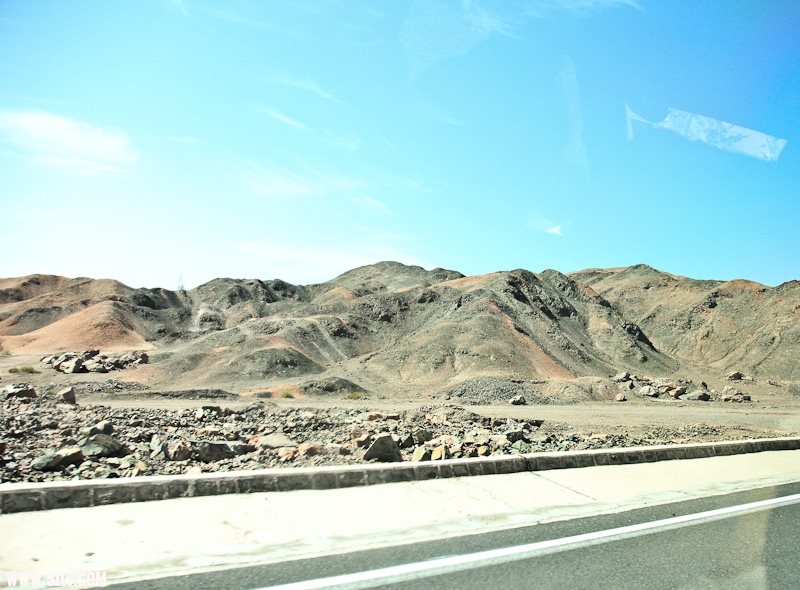IMG_8247-3.jpg