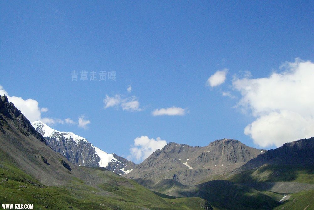DSC03171.JPG