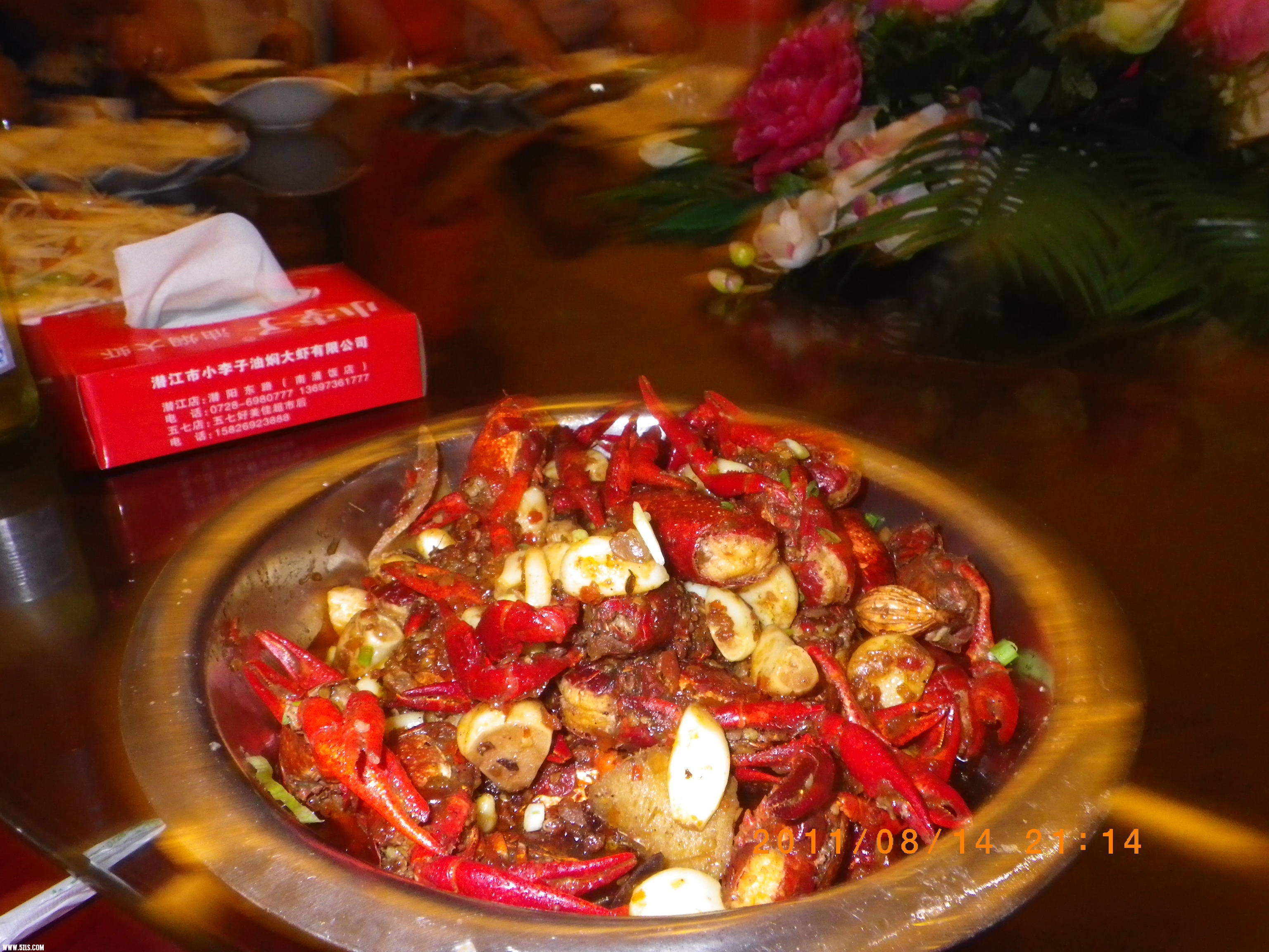 IMGP0911.JPG