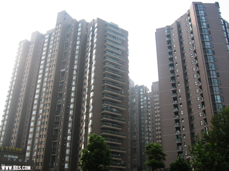 2010-- 015.jpg