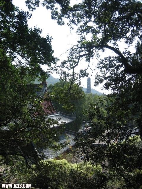 2010-- 051.jpg