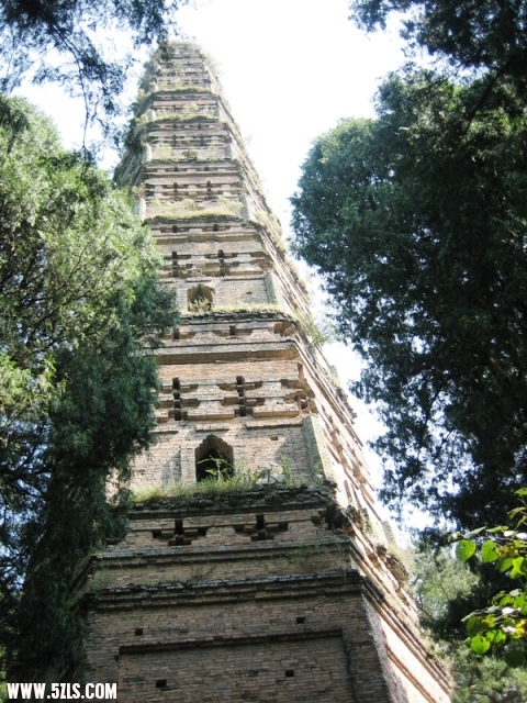 2010-- 076.jpg