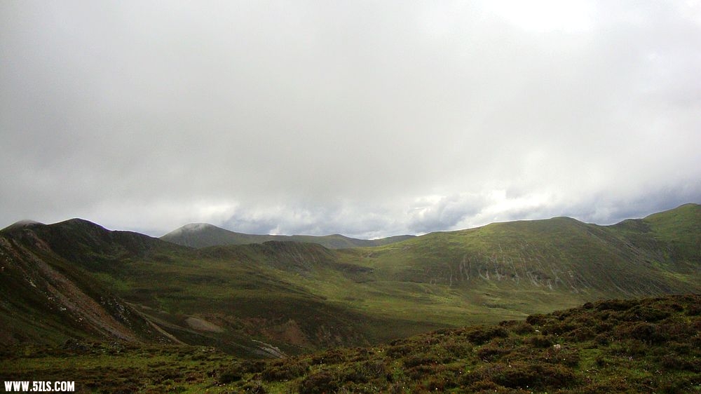 DSC03539.JPG