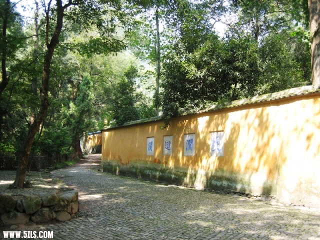 2010-- 031.jpg