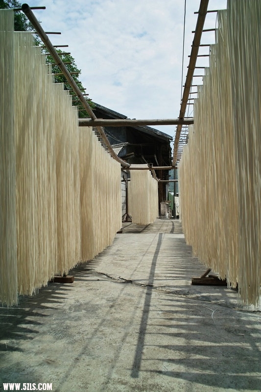 SDIM0978.jpg