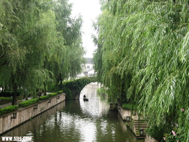 2010-- 044.jpg