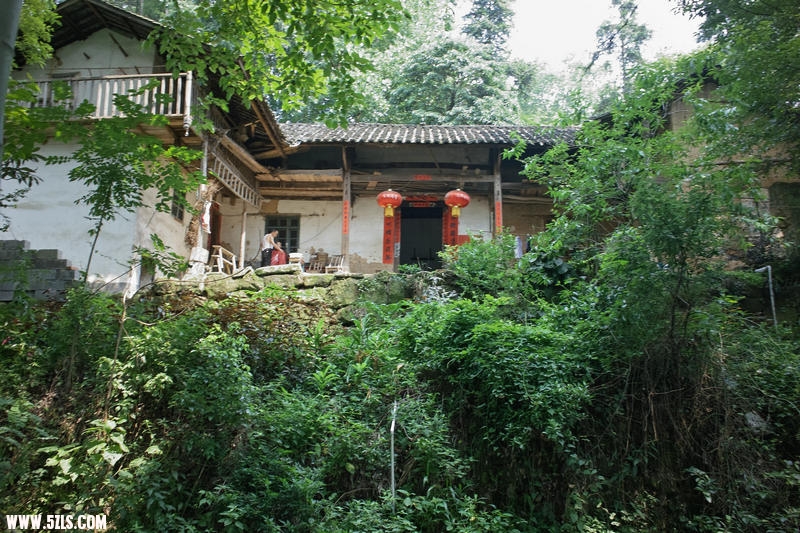 SDIM1042.jpg