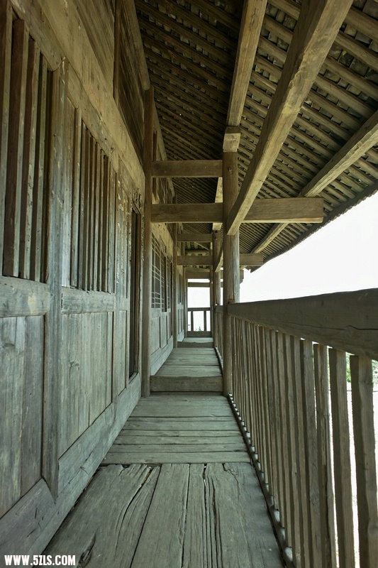 SDIM1061.jpg