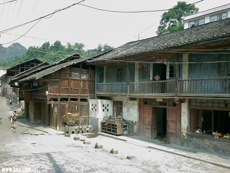 SDIM1199.jpg