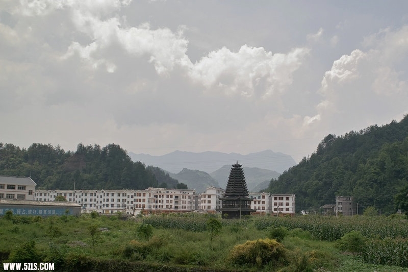 SDIM1233.jpg