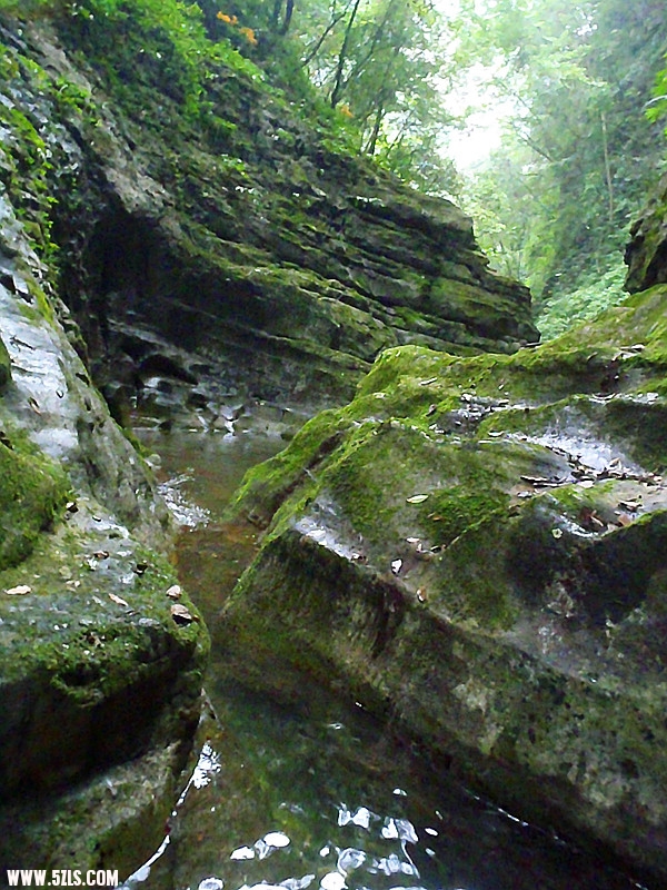 p8210081_.jpg