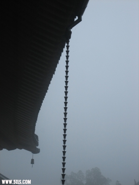 2010-- 079.jpg
