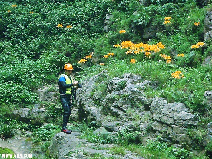 p8210349_.jpg
