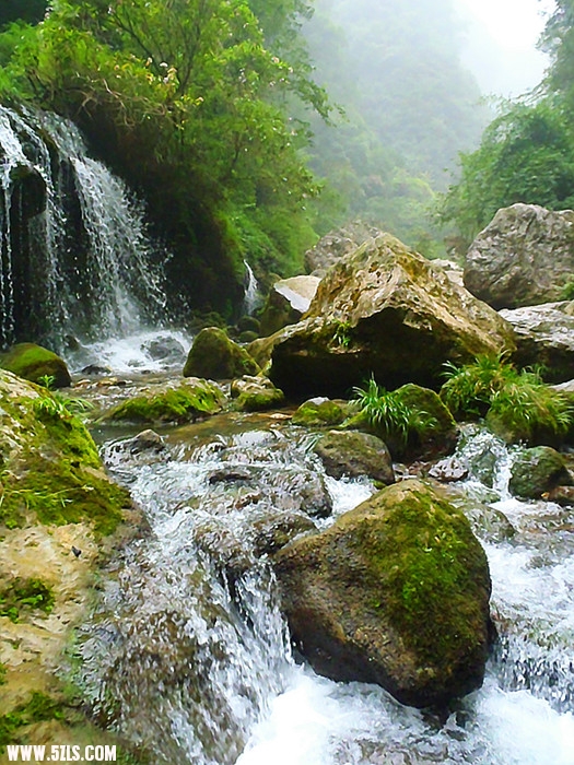 p8210484_.jpg
