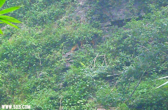 p8210551_.jpg