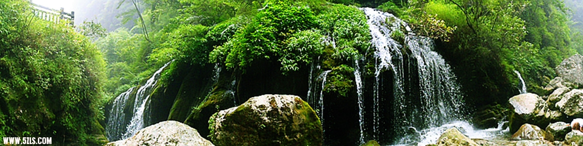 p8210532_.jpg