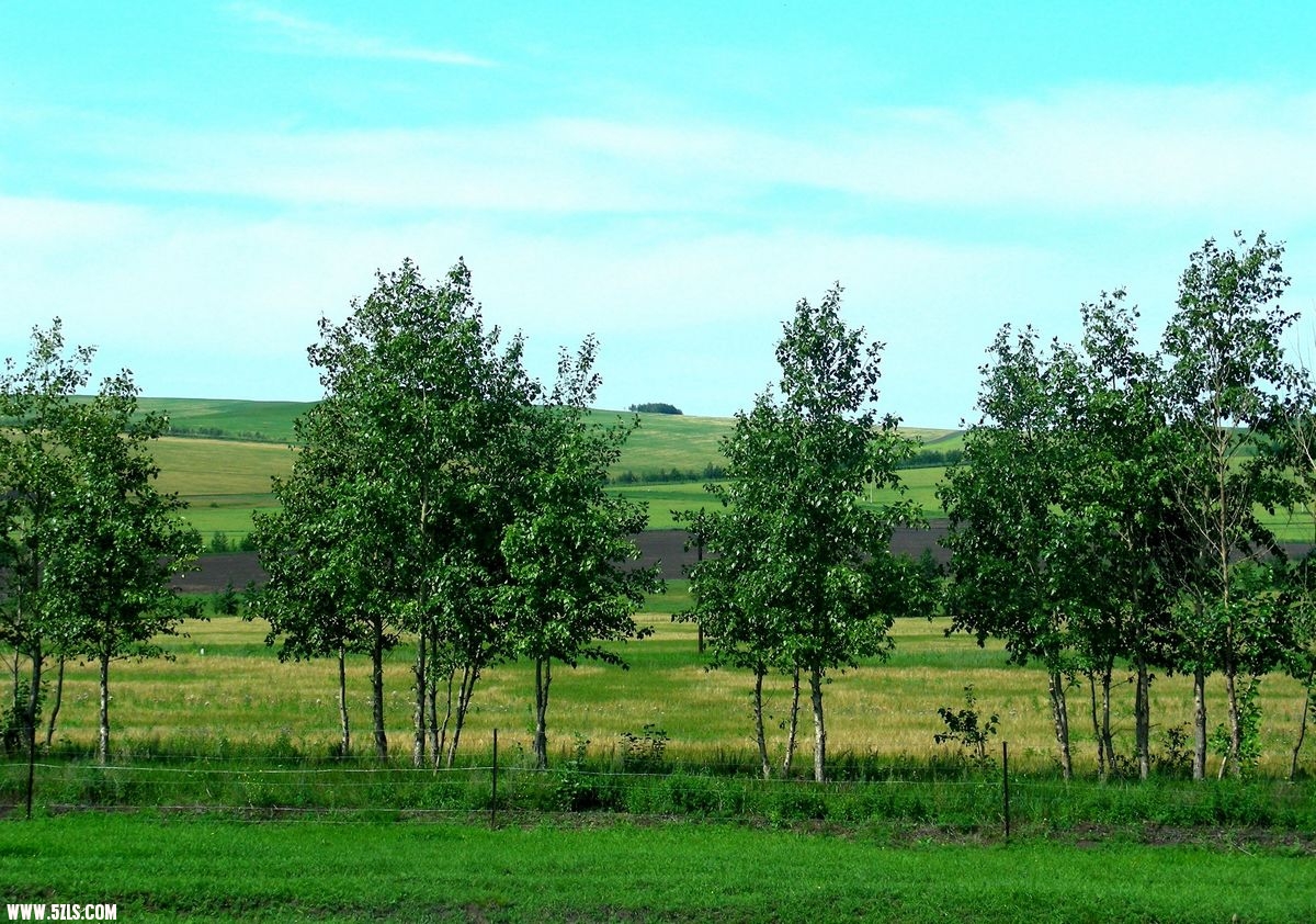 DSCN0059.jpg