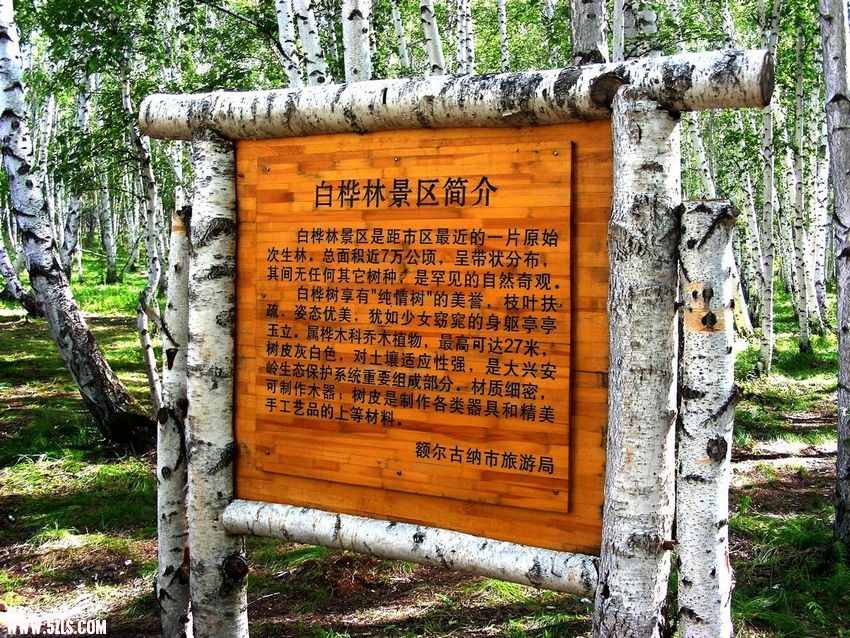 DSCN0120.jpg