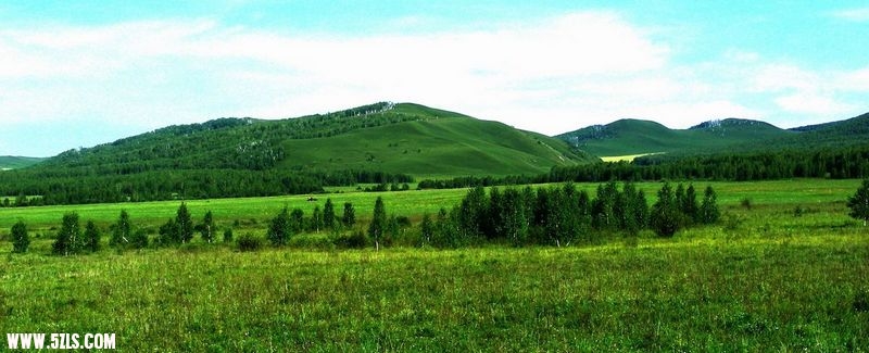 DSCN0137.jpg