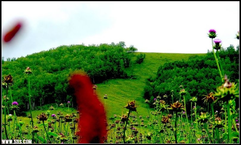 DSCN0201.jpg