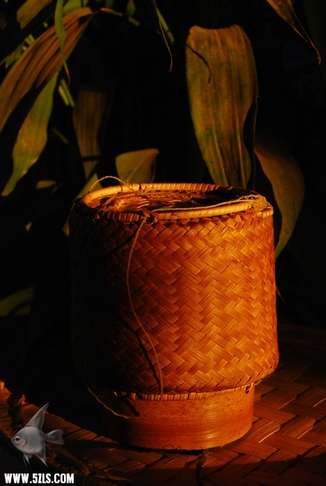 03170758.jpg