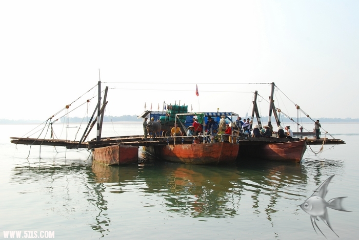 03170850.jpg