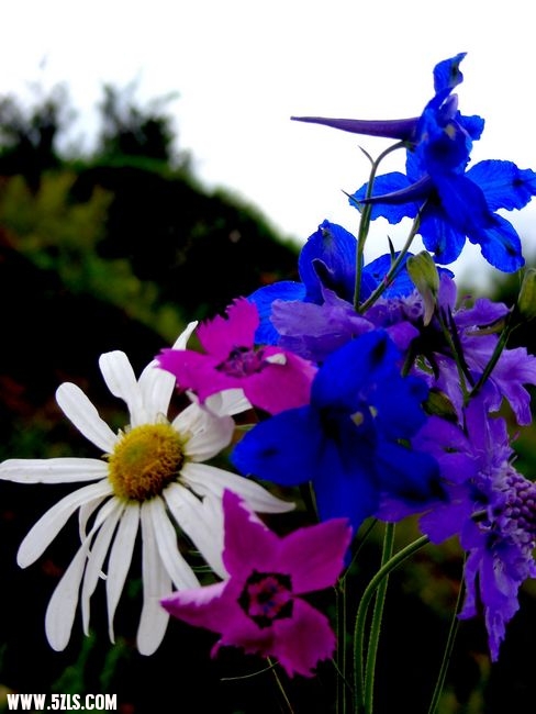 DSCN0295.jpg