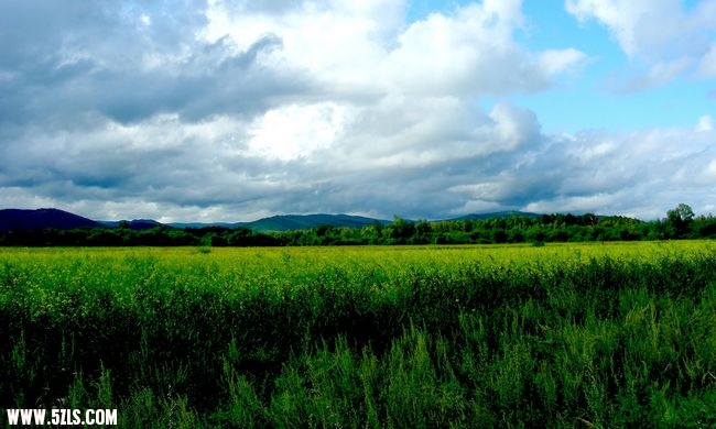DSCN0303.jpg