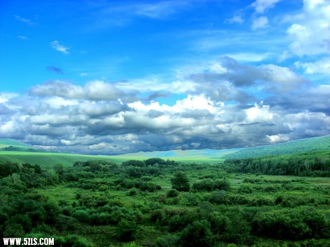 DSCN0312.jpg
