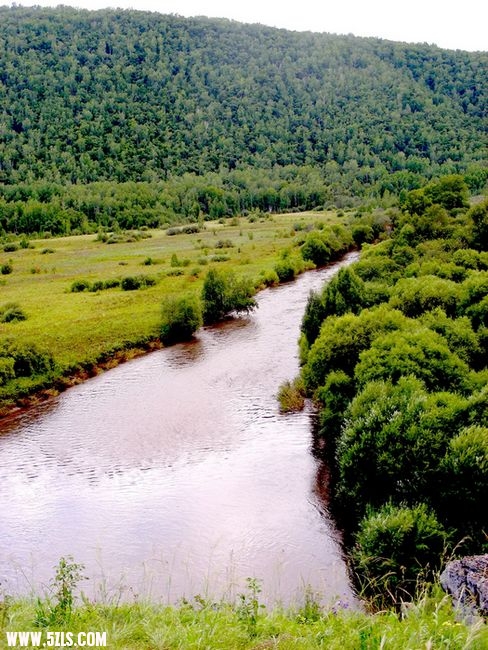 DSCN0319.jpg
