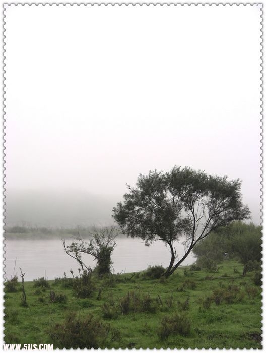 DSCN0377.jpg