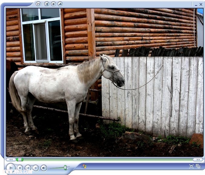 DSCN0393.jpg