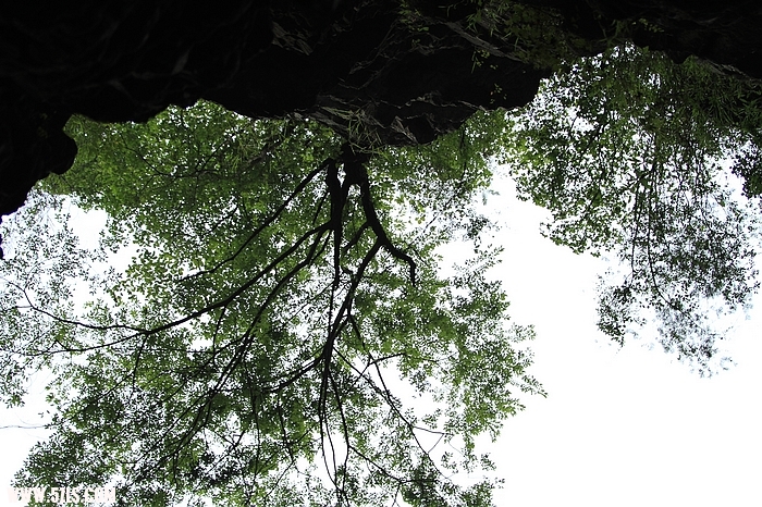IMG_2011_08_27_2896.jpg