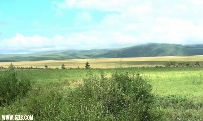 DSCN0400.jpg