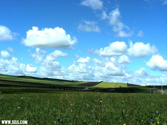 DSCN0423.jpg
