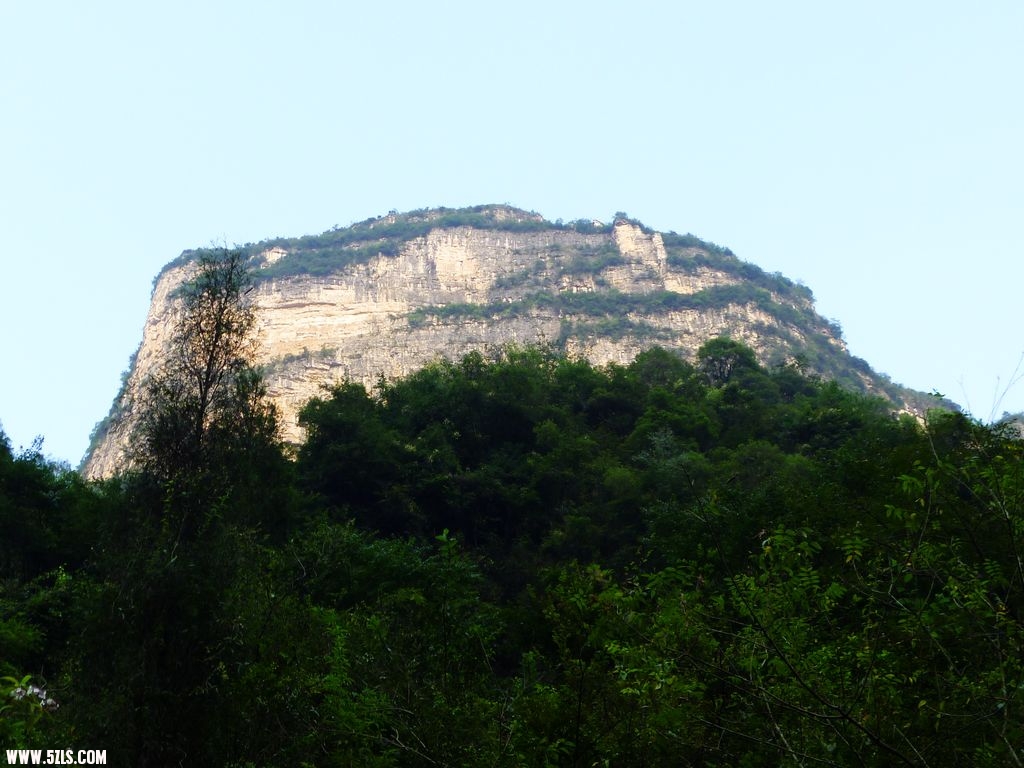 P1020335.jpg