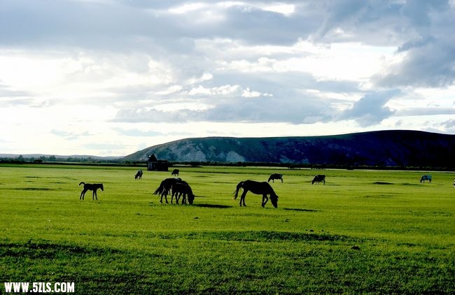 DSCN0456.jpg