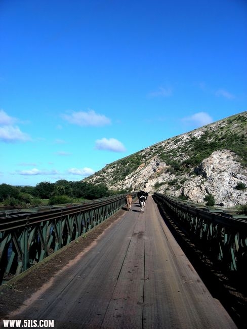 DSCN0570.jpg