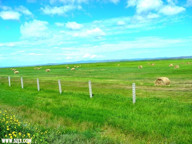 DSCN0614.jpg