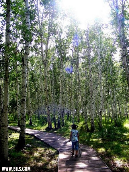 DSCN0128.jpg