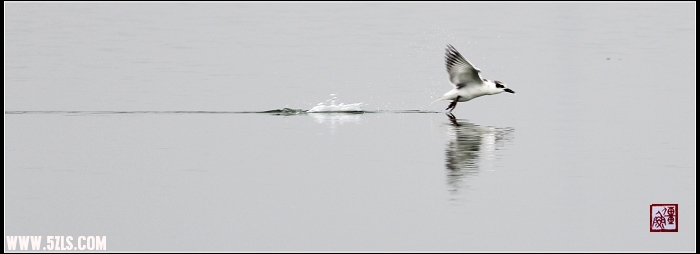 IMG_9687ϴ.jpg