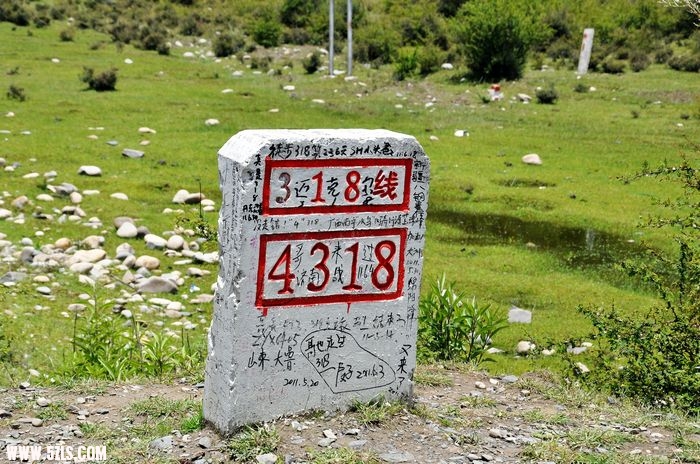 110.jpg