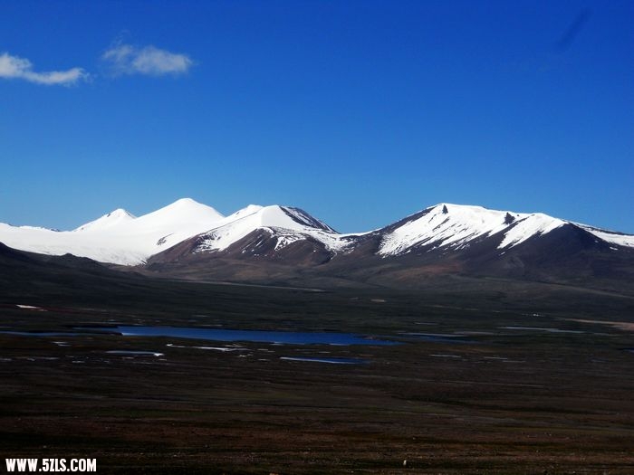 157.jpg
