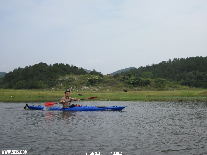 IMG_4378.jpg