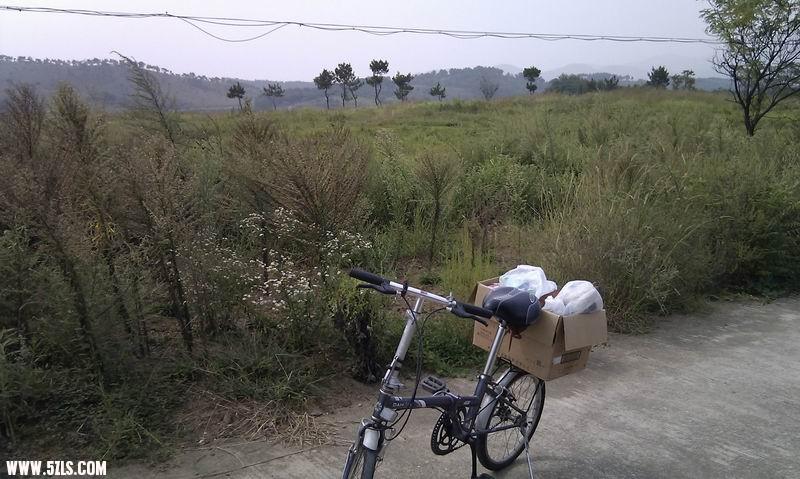 IMAG0372.jpg